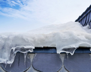 plotek przeciwsniegowy