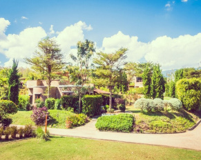 projektowanie ogrodu