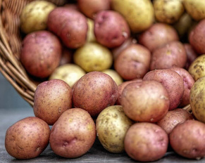 Kolorowe ziemniaki czyli „superfoods” po polsku