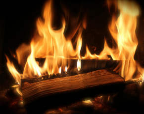 kominek, drewno opałowe, energia, niezależność energetyczna, ogrzewanie, ekologia, dom, bezpieczeństwo, tradycja, nowoczesność, Międzynarodowy Dzień Kominka, oskp, Drewno Pozytywna Energia