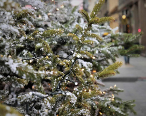 swiateczny-budzet-pod-kontrola