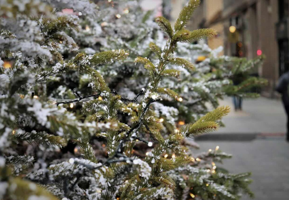 swiateczny-budzet-pod-kontrola