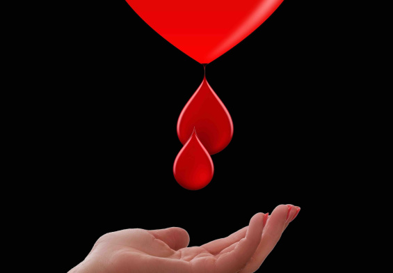 honorowi-dawcy-krwi-w-polsce-coraz-wiecej-benefitow-i-inicjatyw-edukacyjnych